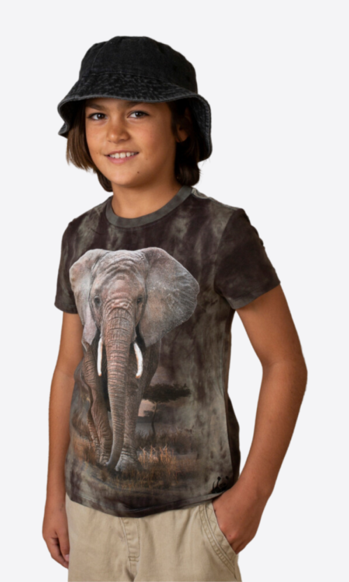 Elephant African Print T-Shirt (Youth)